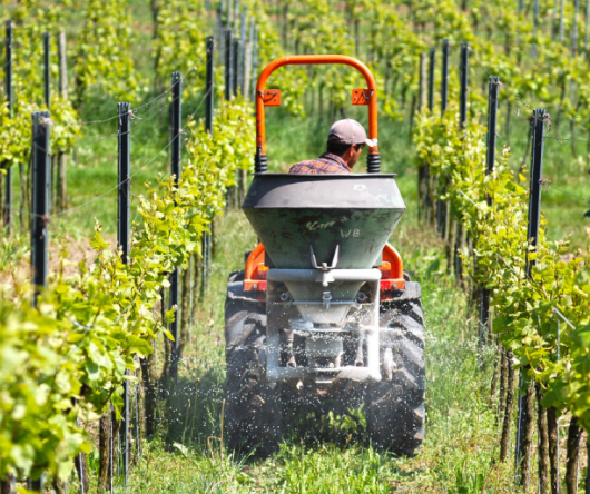 Central%20City%20Vineyard%20&%20Winery