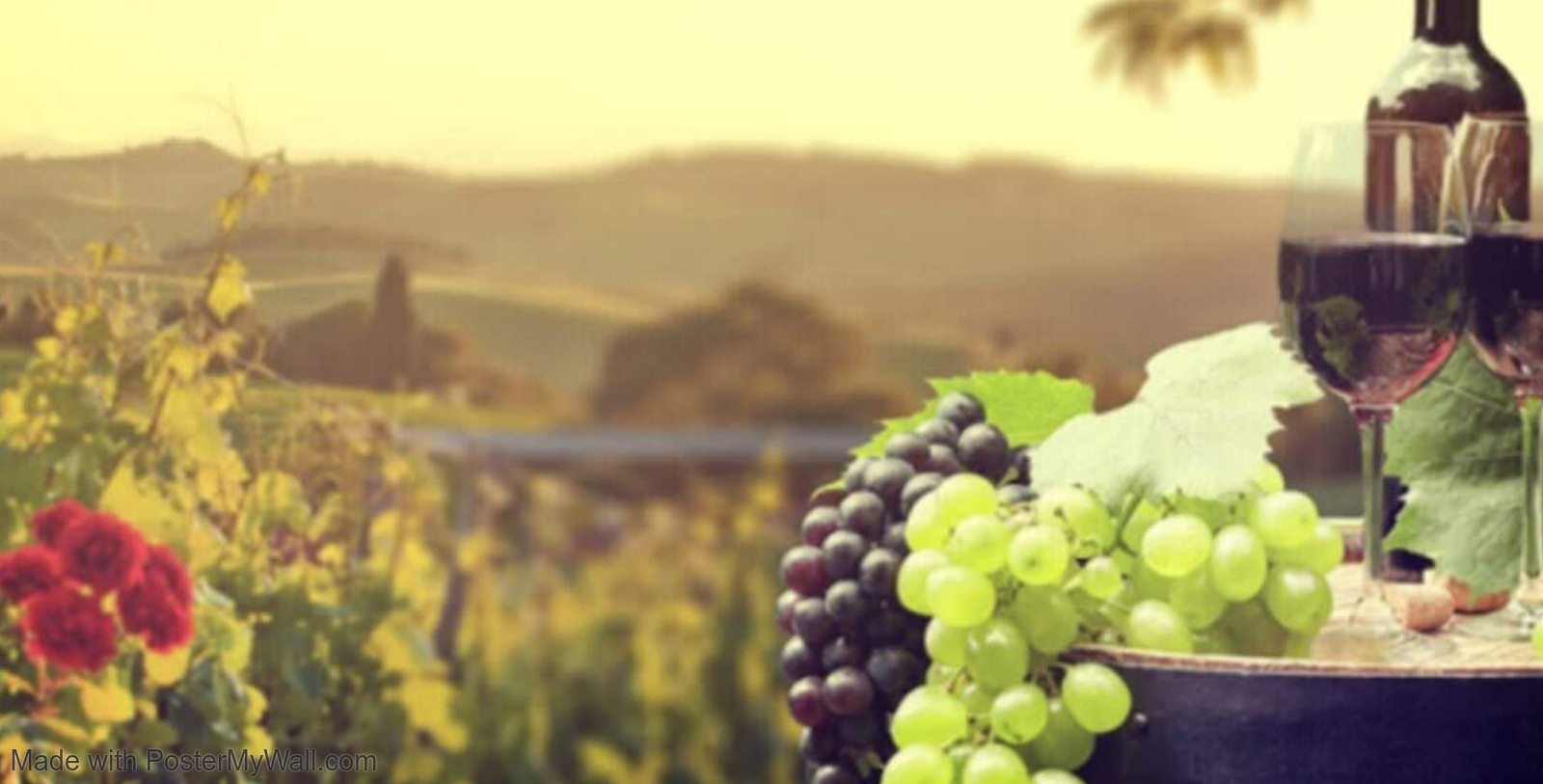 Central%20City%20Vineyard%20&%20Winery